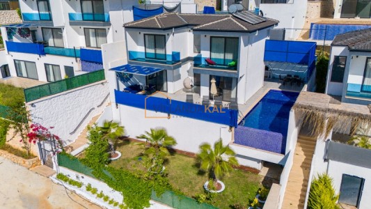 Villa Mulberry Violet